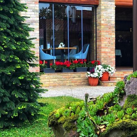 Villa Diva Budureasa Dış mekan fotoğraf