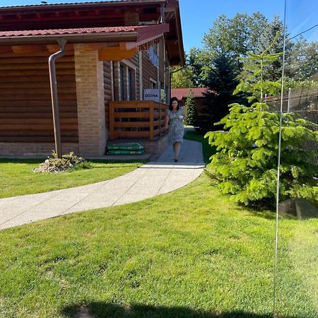 Villa Diva Budureasa Dış mekan fotoğraf