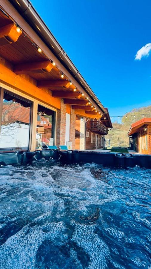 Villa Diva Budureasa Dış mekan fotoğraf