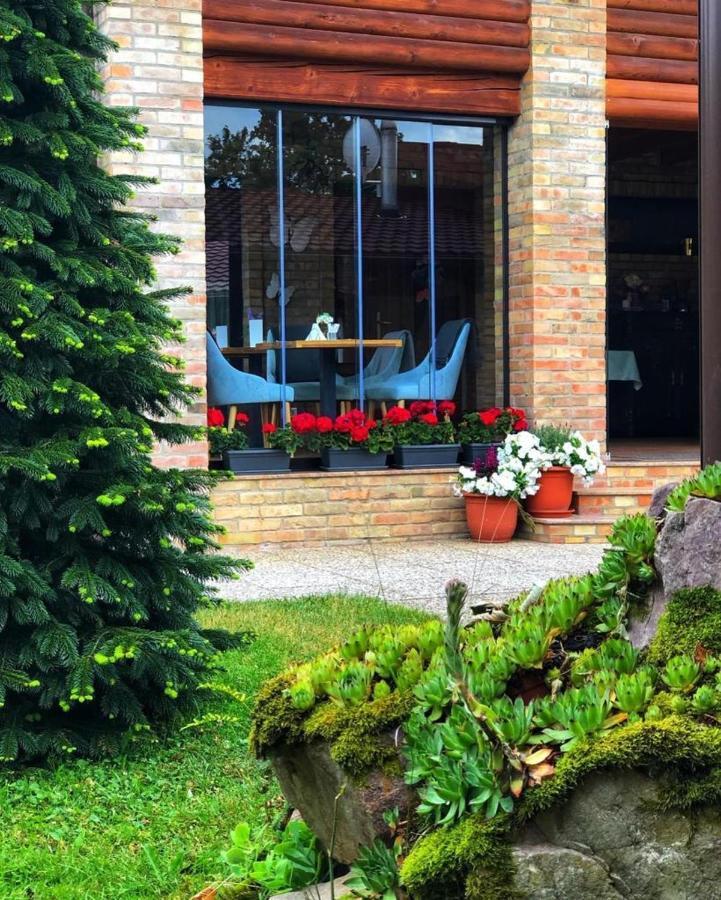 Villa Diva Budureasa Dış mekan fotoğraf