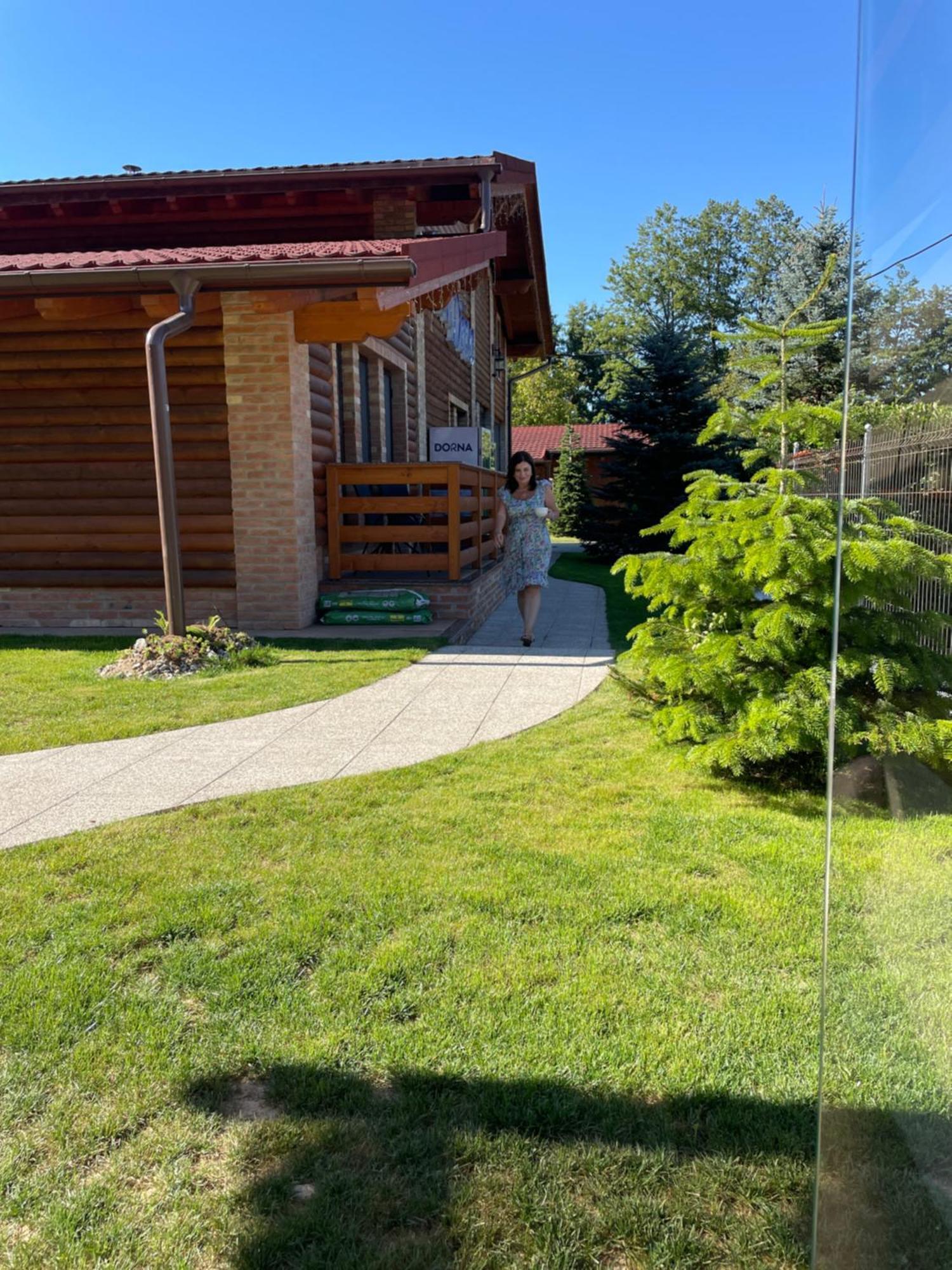 Villa Diva Budureasa Dış mekan fotoğraf