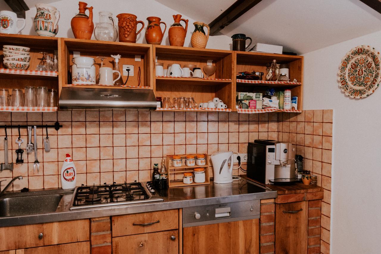 Villa Diva Budureasa Dış mekan fotoğraf