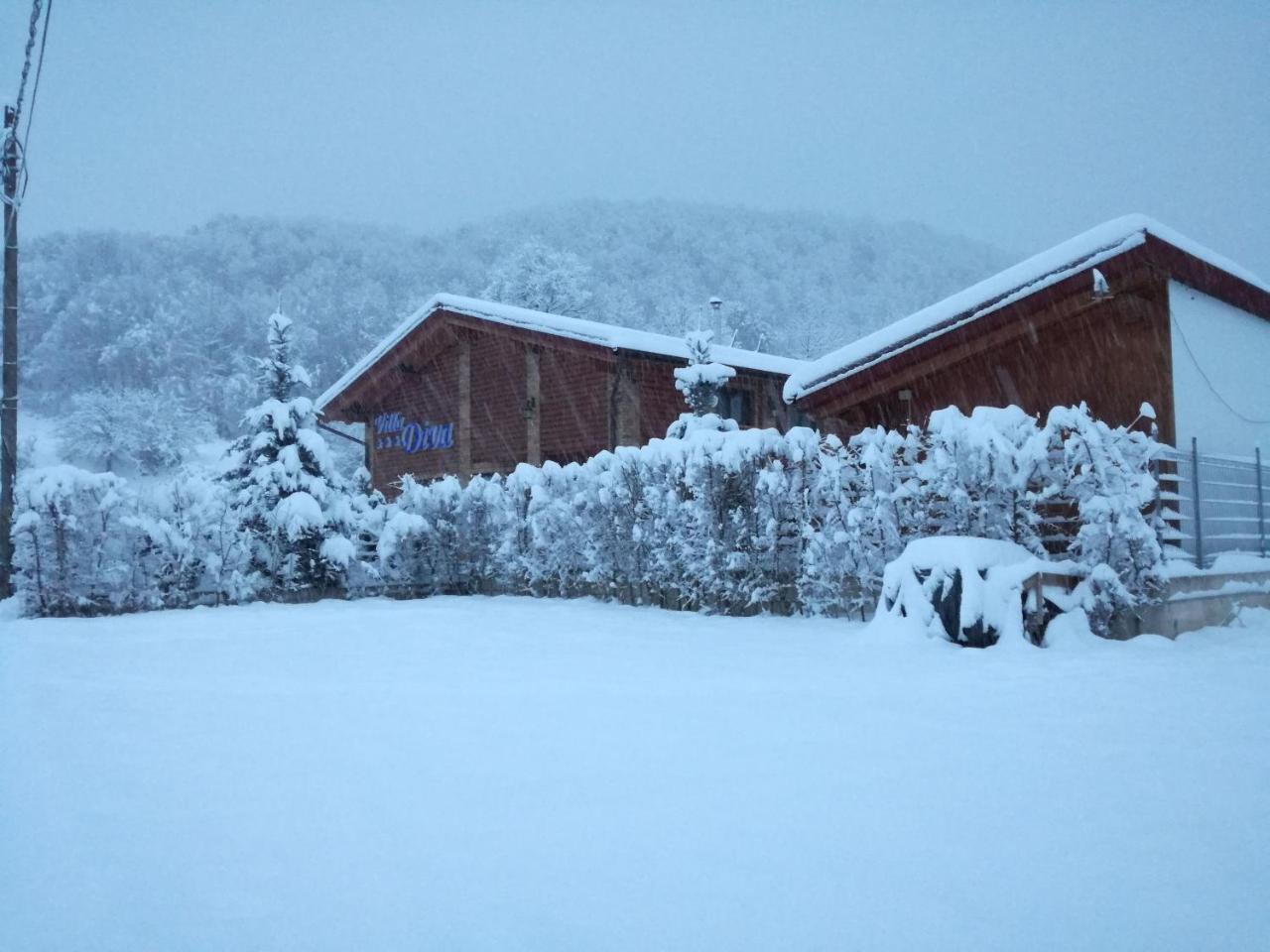Villa Diva Budureasa Dış mekan fotoğraf